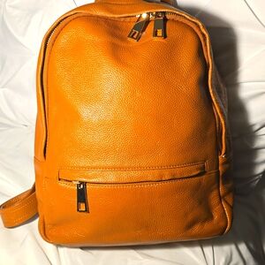 Clark & Madison Buffalo Leather Backpack